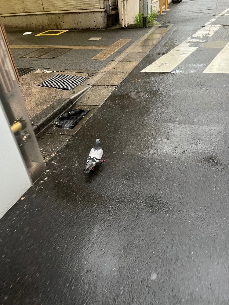 りな