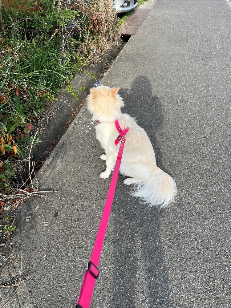 京 さゆみ