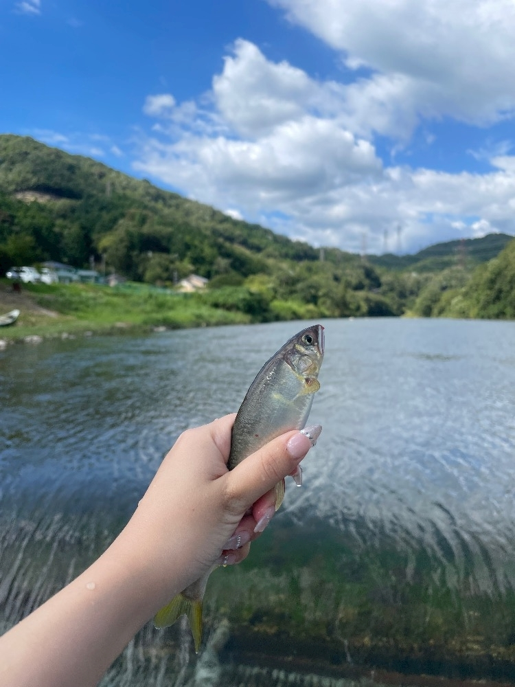 愛川 らん