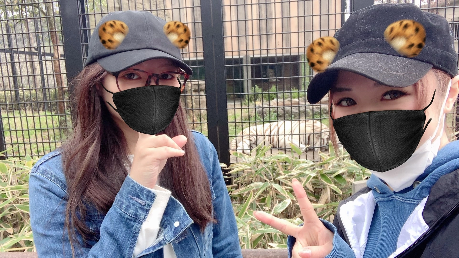 しおん