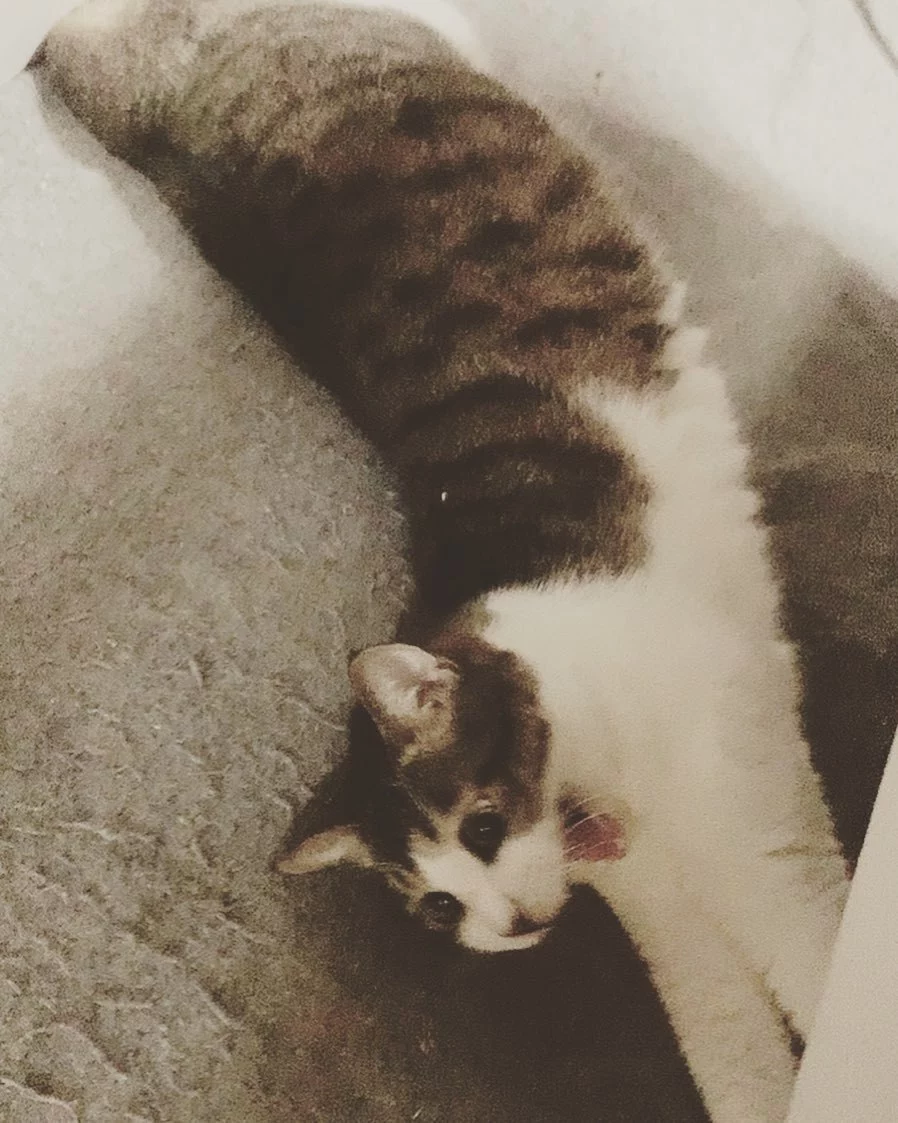 なな