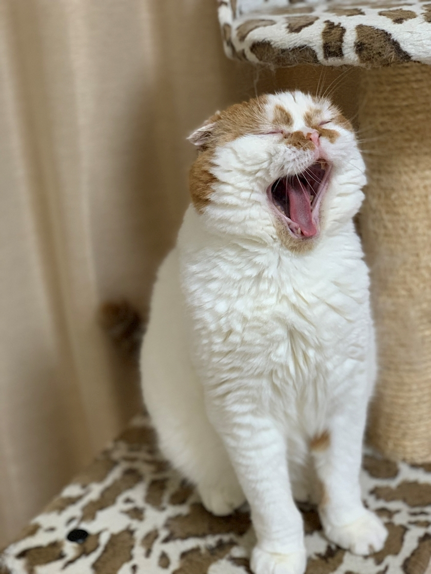 れみ