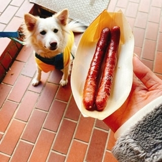 京 さゆみ