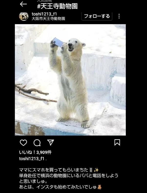 涼宮 しずか