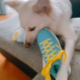 京 さゆみ