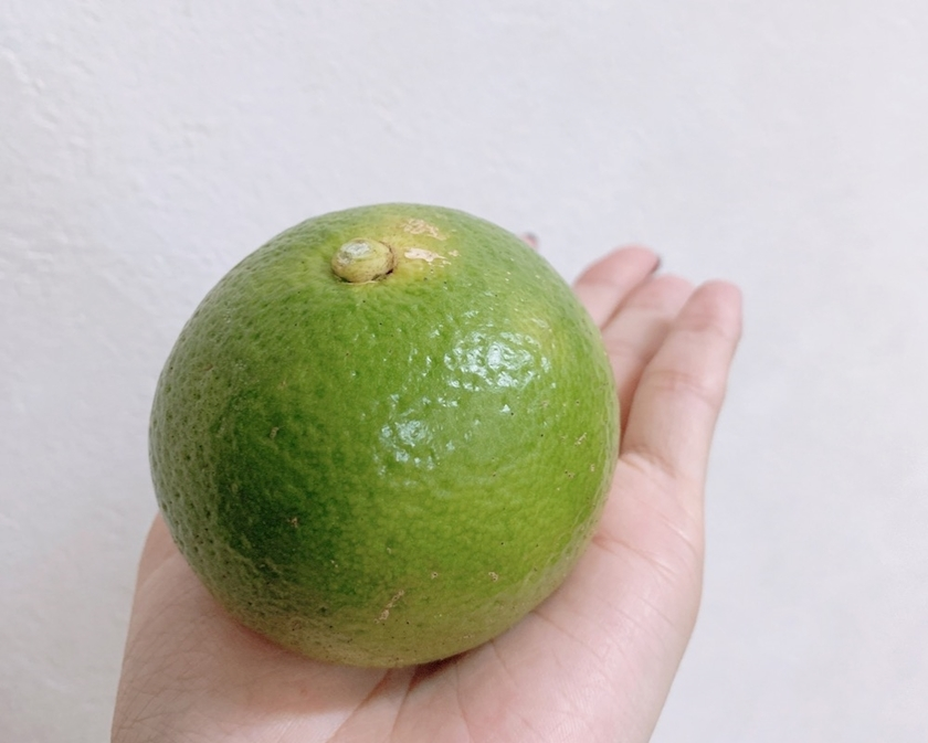 りょう
