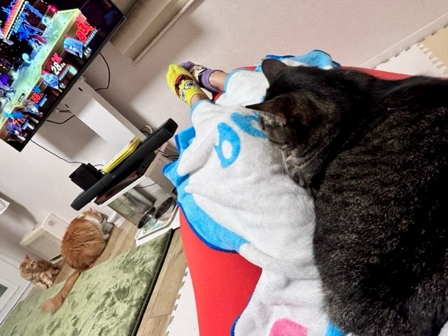 妃乃 すず