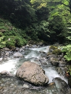 りえ