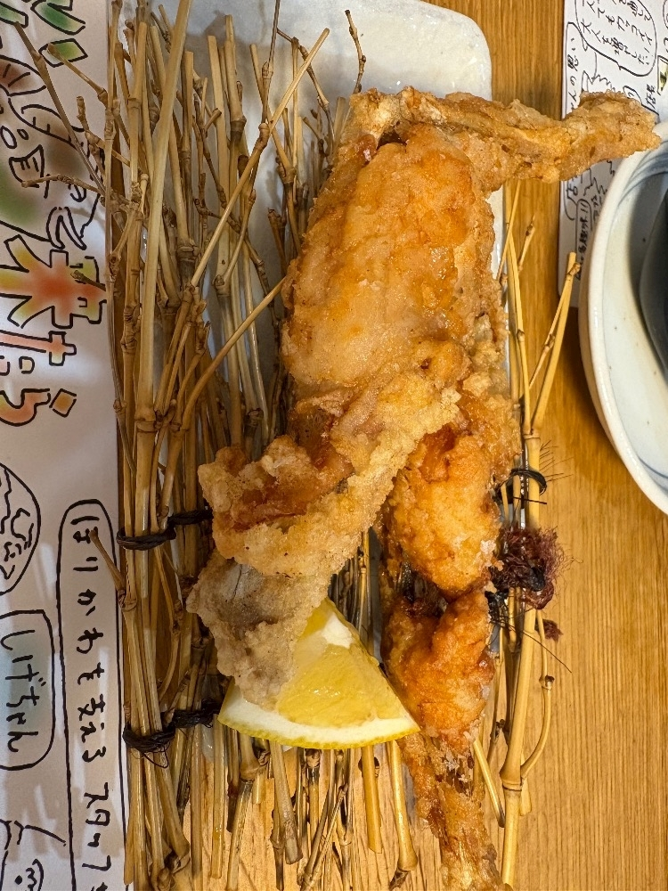 辻 みなみ