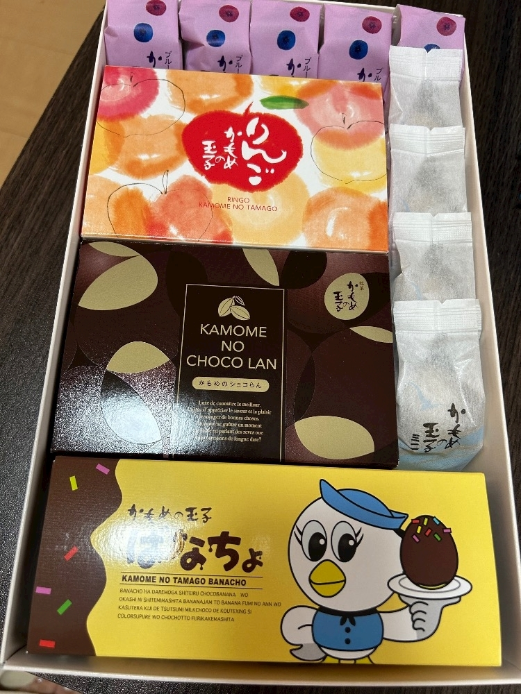 麗日 ひな