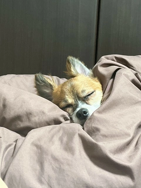 ハナ