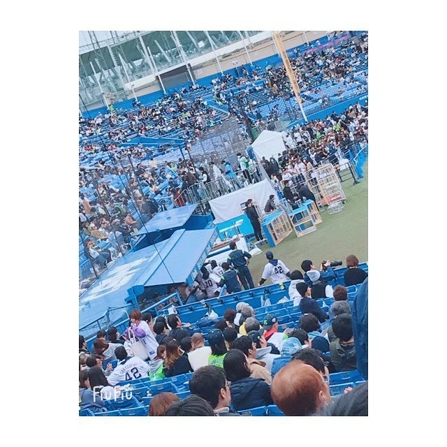 蓮