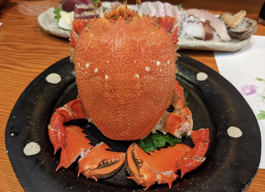 五条 椿