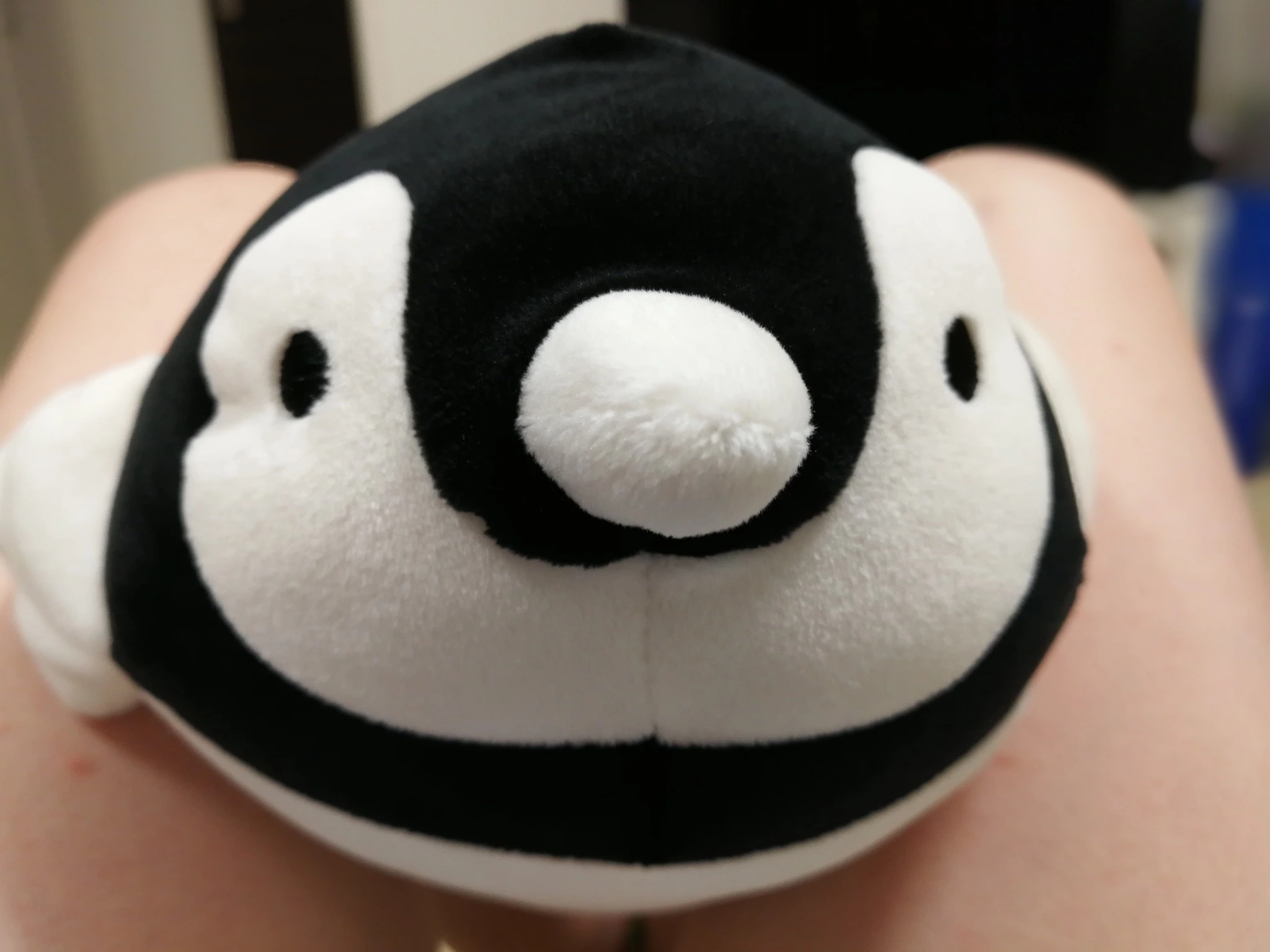 まどか