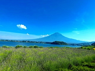 ゆかり