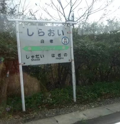 橘 あんな