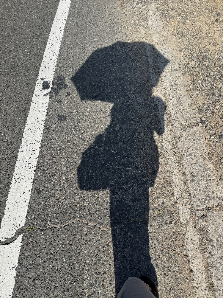 葉山 ゆうり