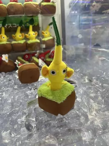 七星 夏純