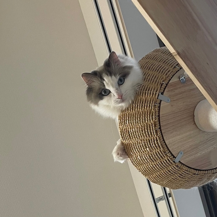 辻 みなみ