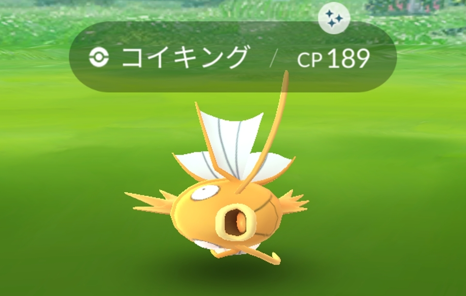 五条 椿