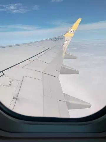 葵 かな