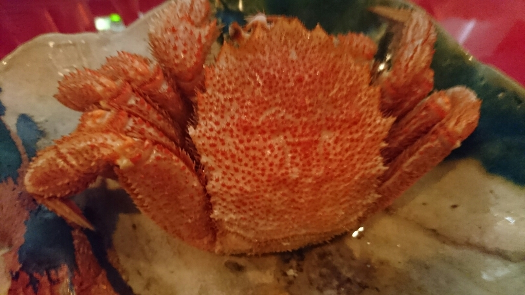 五条 椿