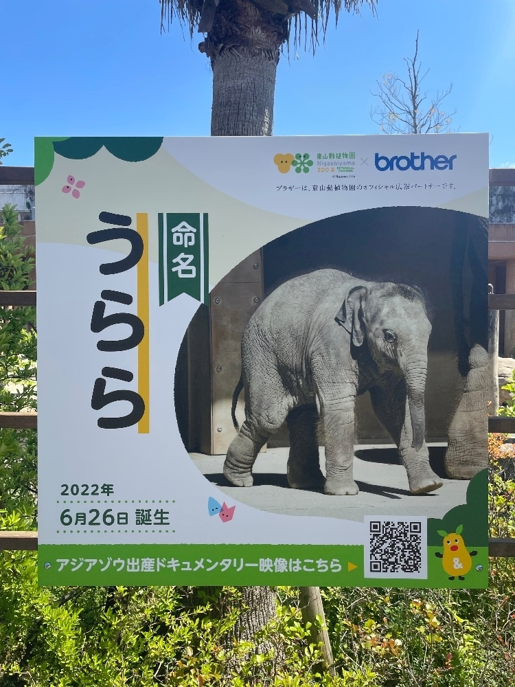 神崎 かんな