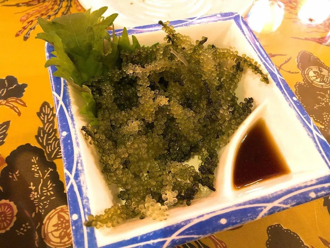 水城 りあ