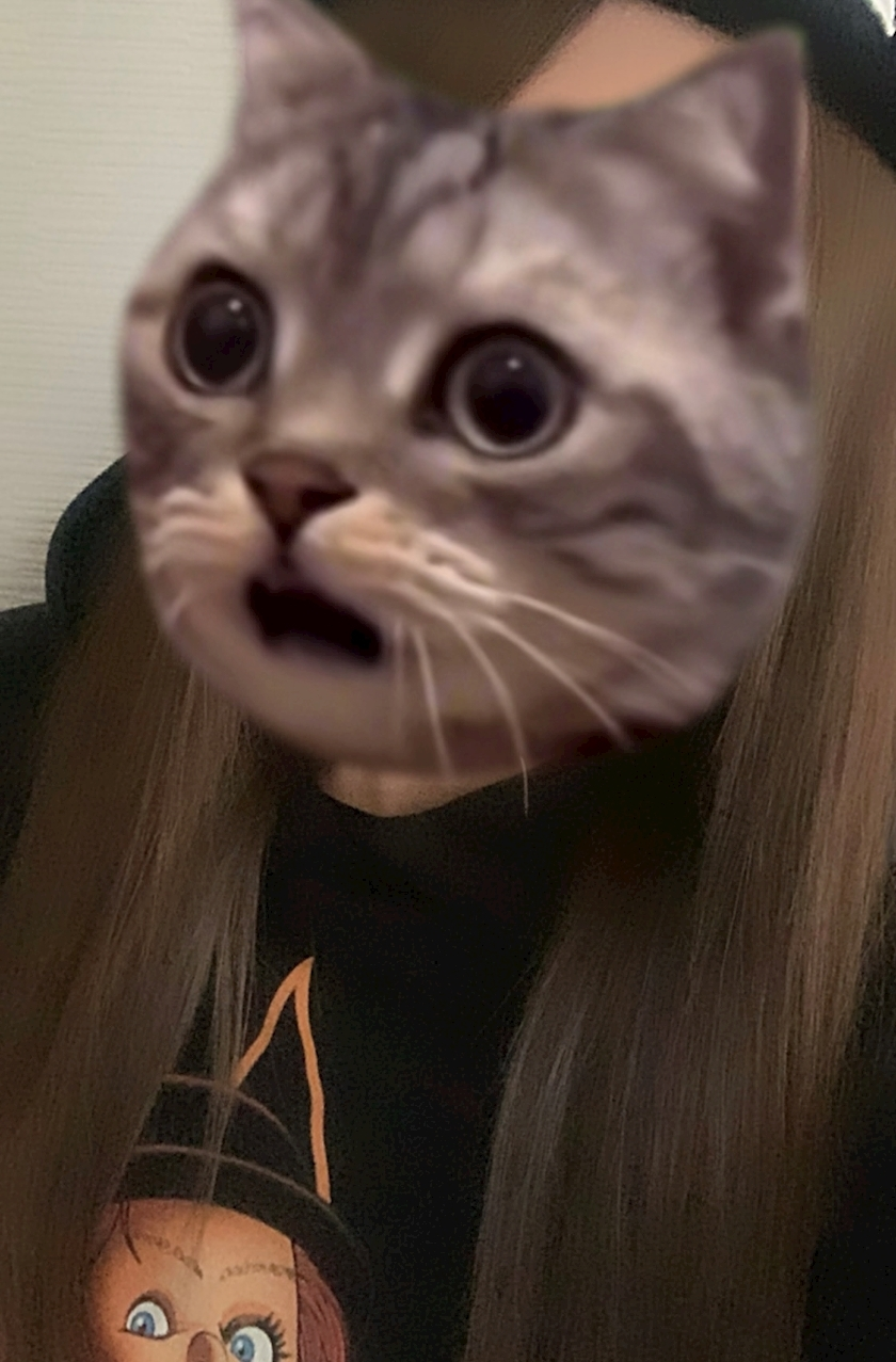 みやび