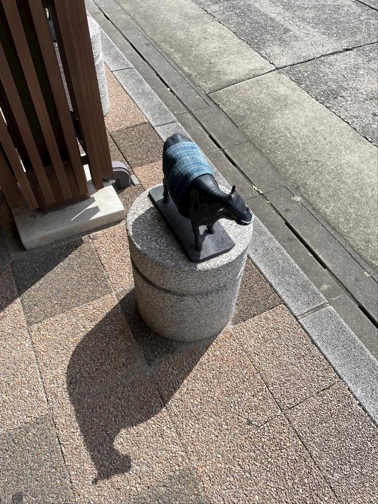 朝倉 しおり