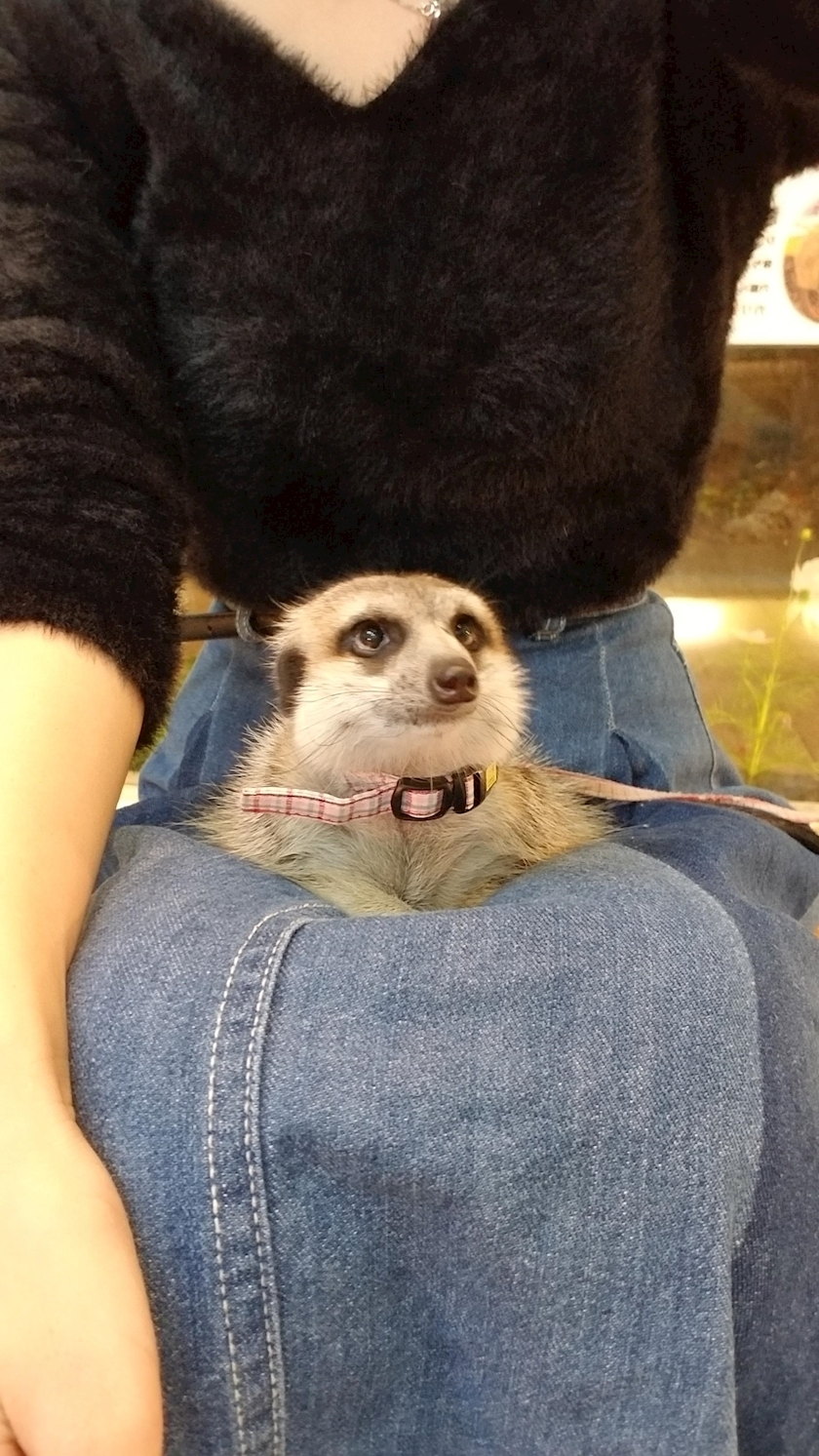 りか