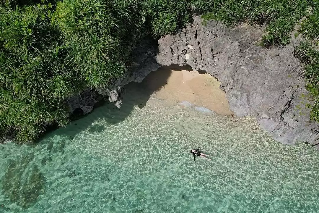 リセ