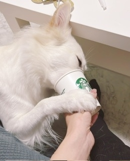 京 さゆみ