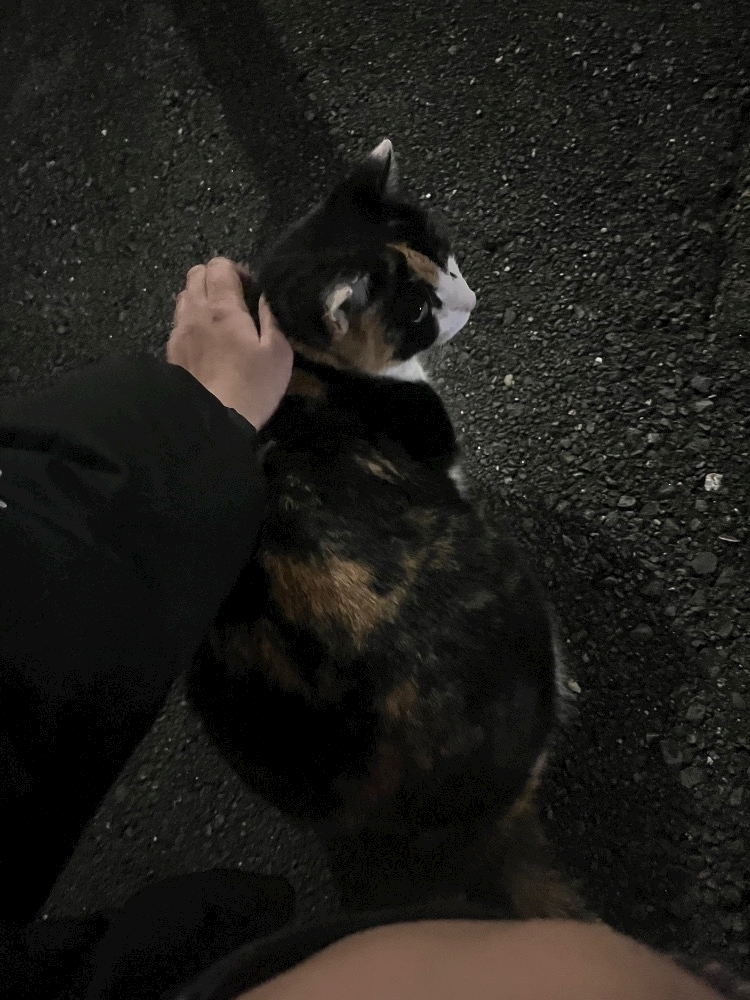 葉月 ひろみ