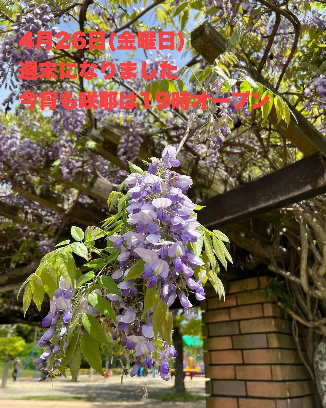 藤本 祐子ママ