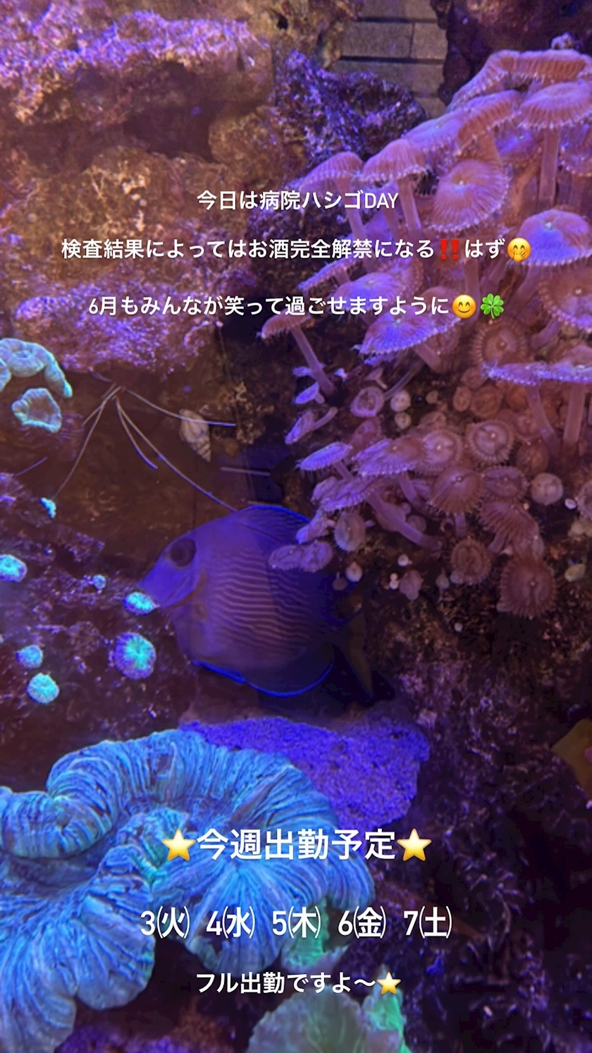 三上 胡桃