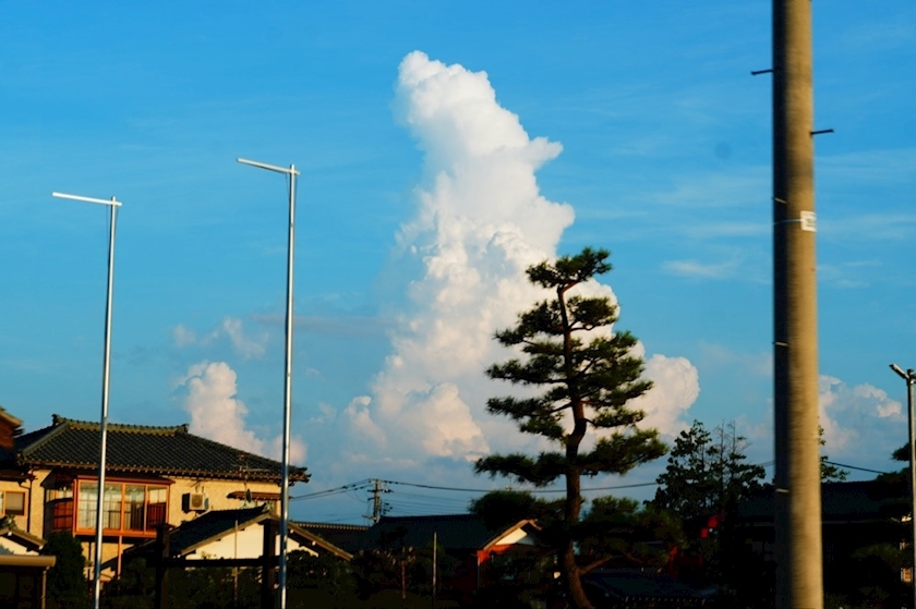 星野 大空