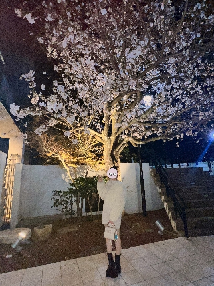 藤城 あん