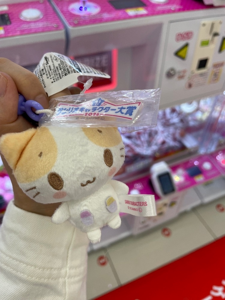 花咲 みらい