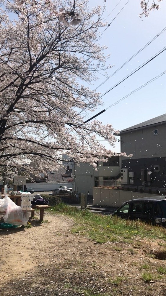 ナオ