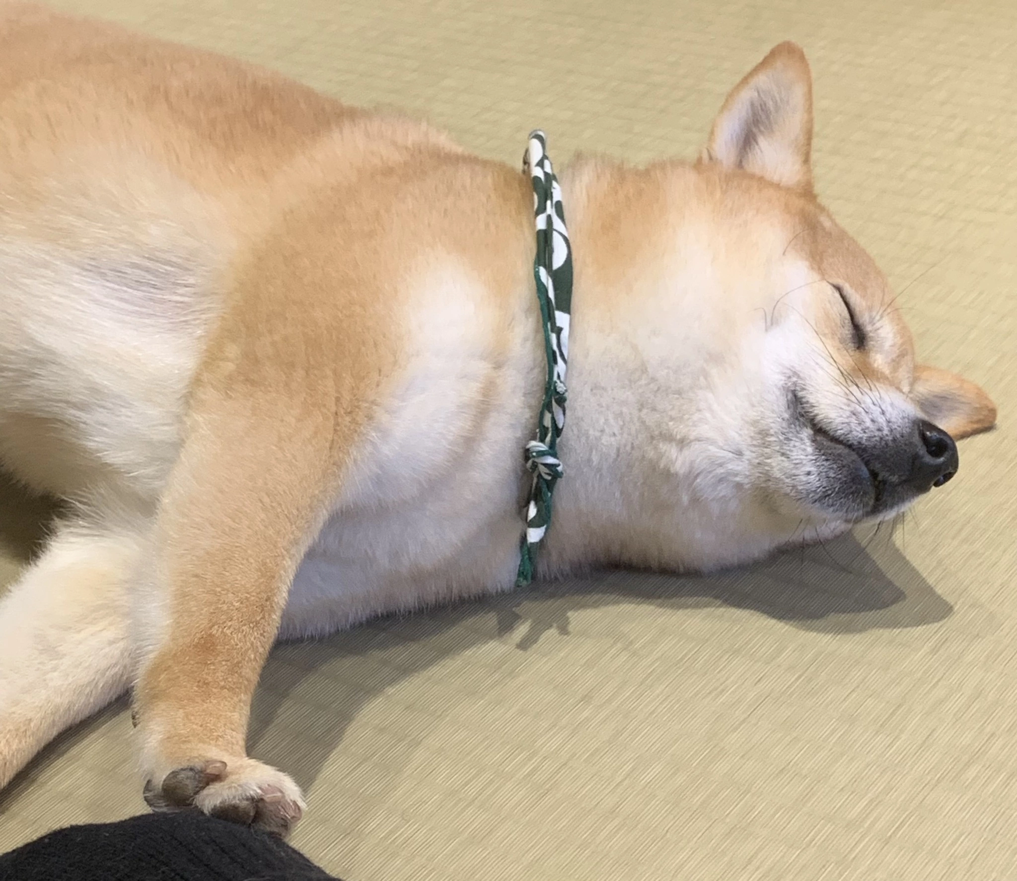 冬乃 ゆき