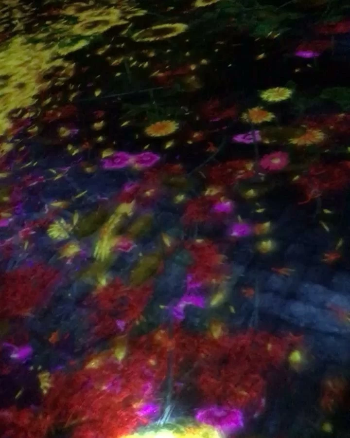 ありす