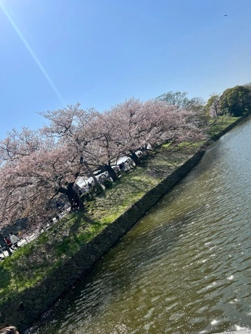 まみ