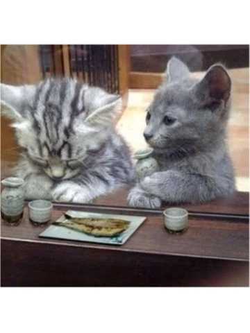 蓮見 リア
