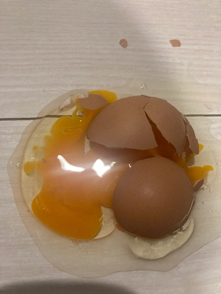 宍戸 いぶき