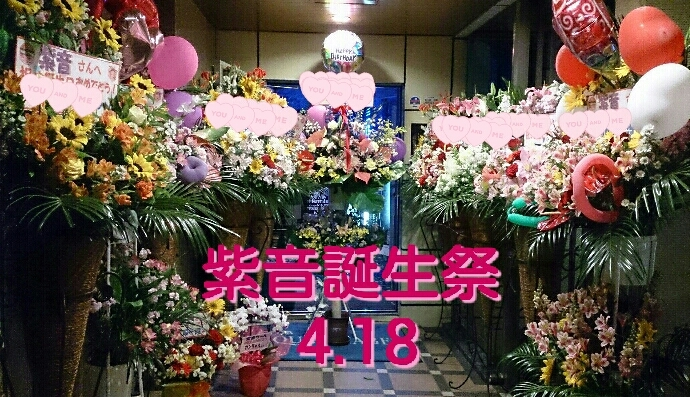 紫音