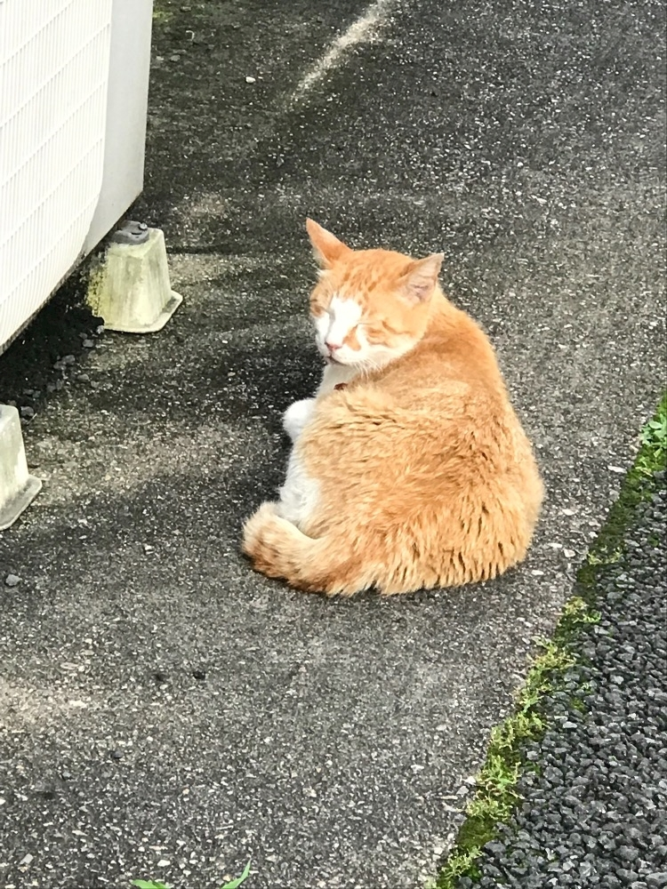 ナオ