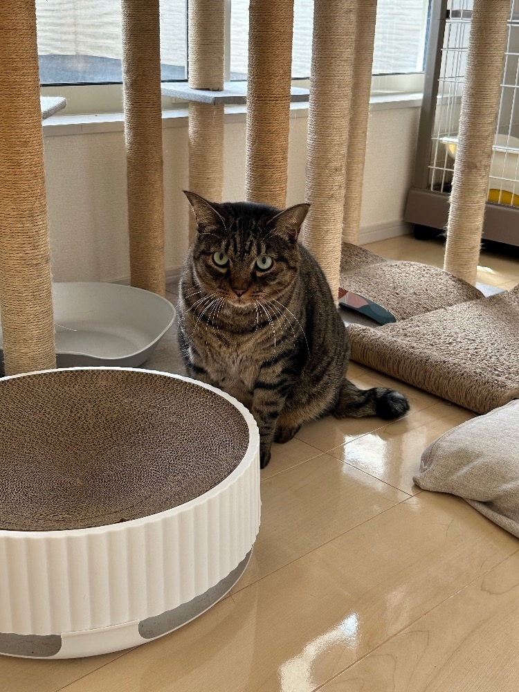 なな