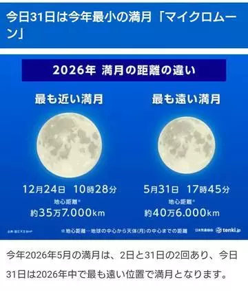 ひな
