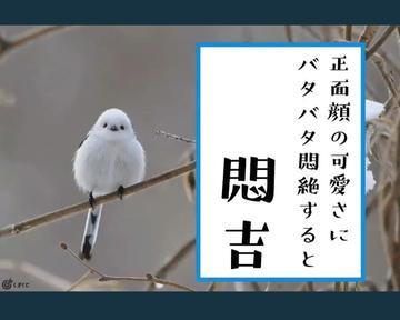 ひな